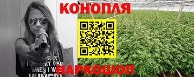 mdpv Можга