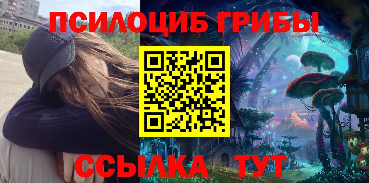 Оренбург  Галлюциногенные грибы Cubensis  Вход с VPN  наркотики  Галлюциногенные грибы Cubensis 